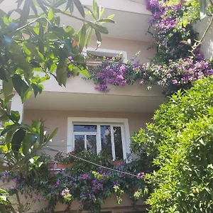 https://flowers-guesthouse.hotels-in-tirana.com
